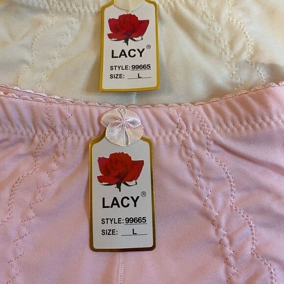 💥Lacy assorted panties  high waist Briefs Size L - Picture 13 of 13